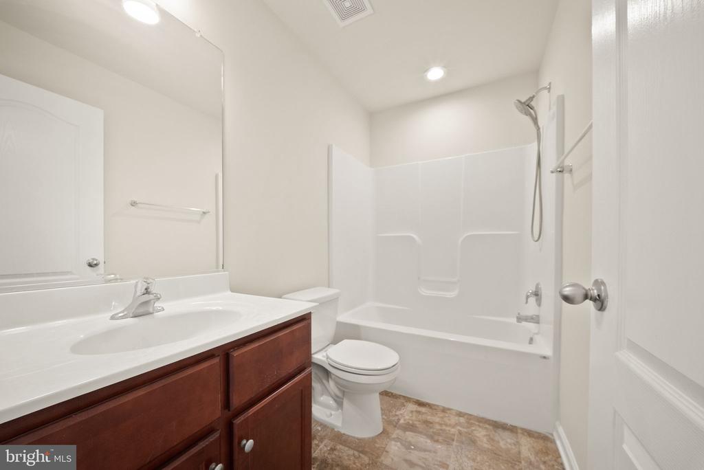 241 SCHRAMM LOOP
