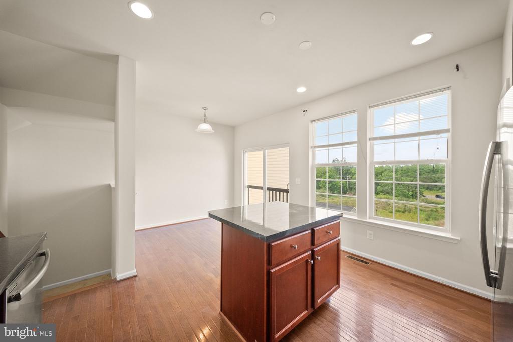 241 SCHRAMM LOOP