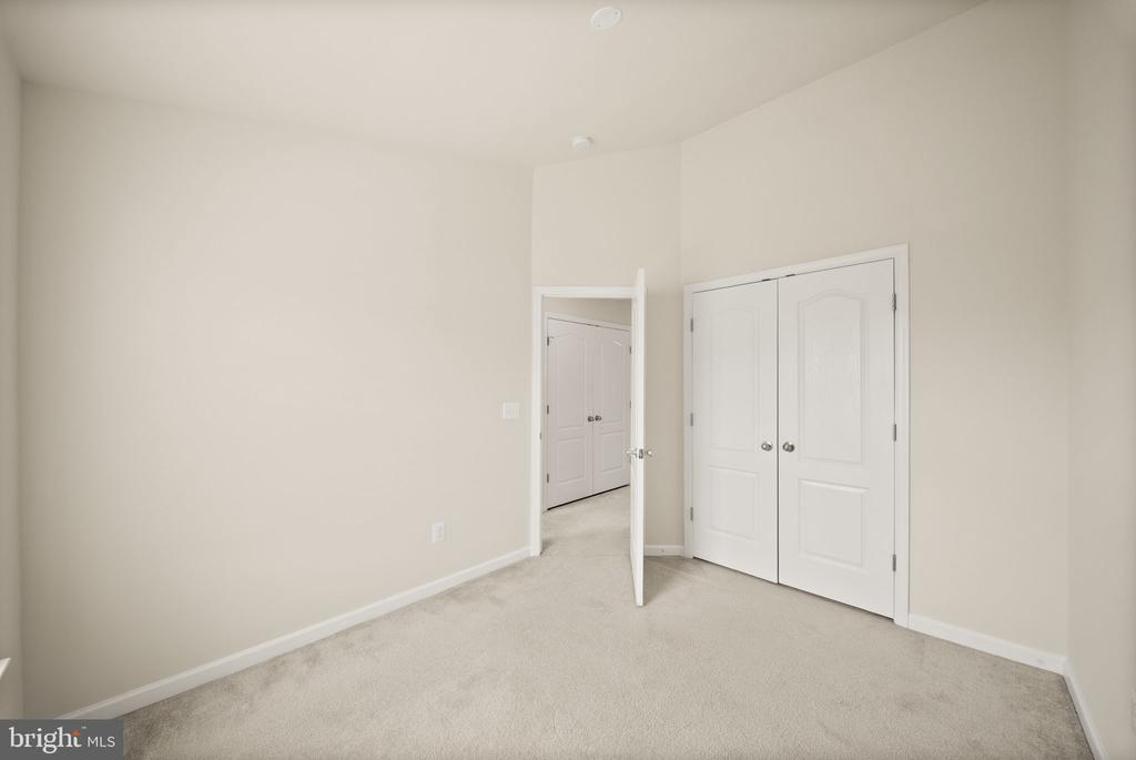 241 SCHRAMM LOOP