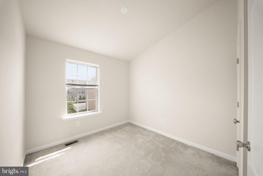 241 SCHRAMM LOOP