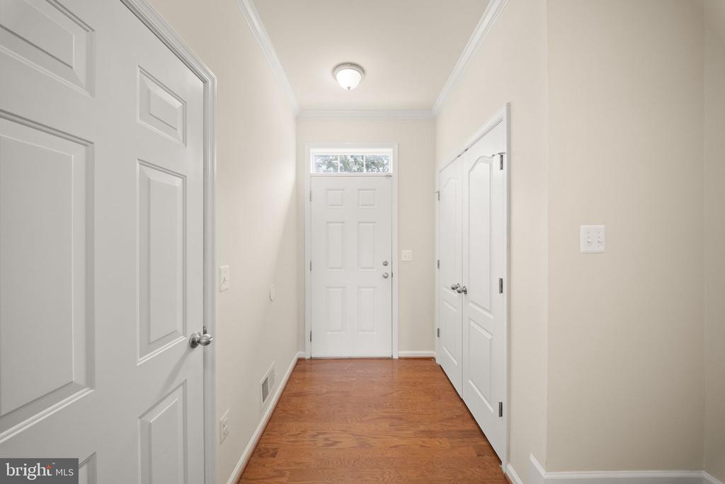 241 SCHRAMM LOOP