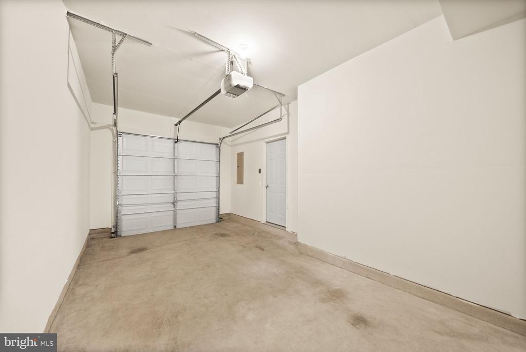 241 SCHRAMM LOOP