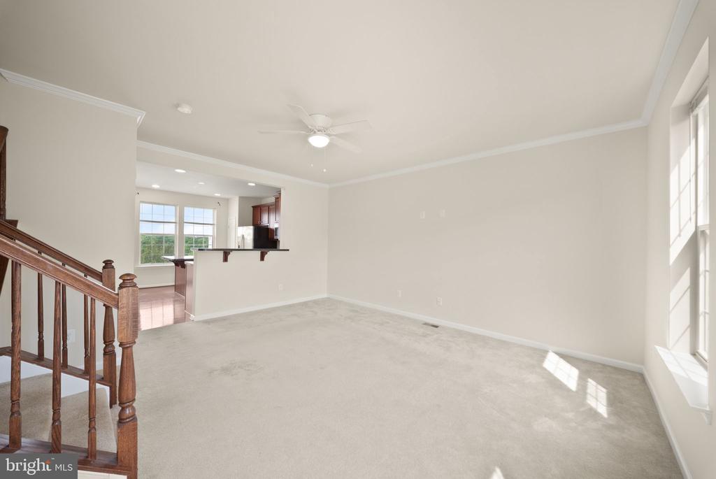 241 SCHRAMM LOOP