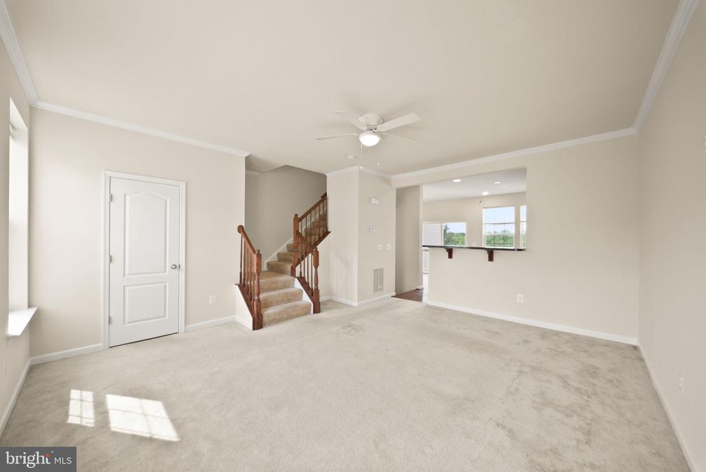 241 SCHRAMM LOOP
