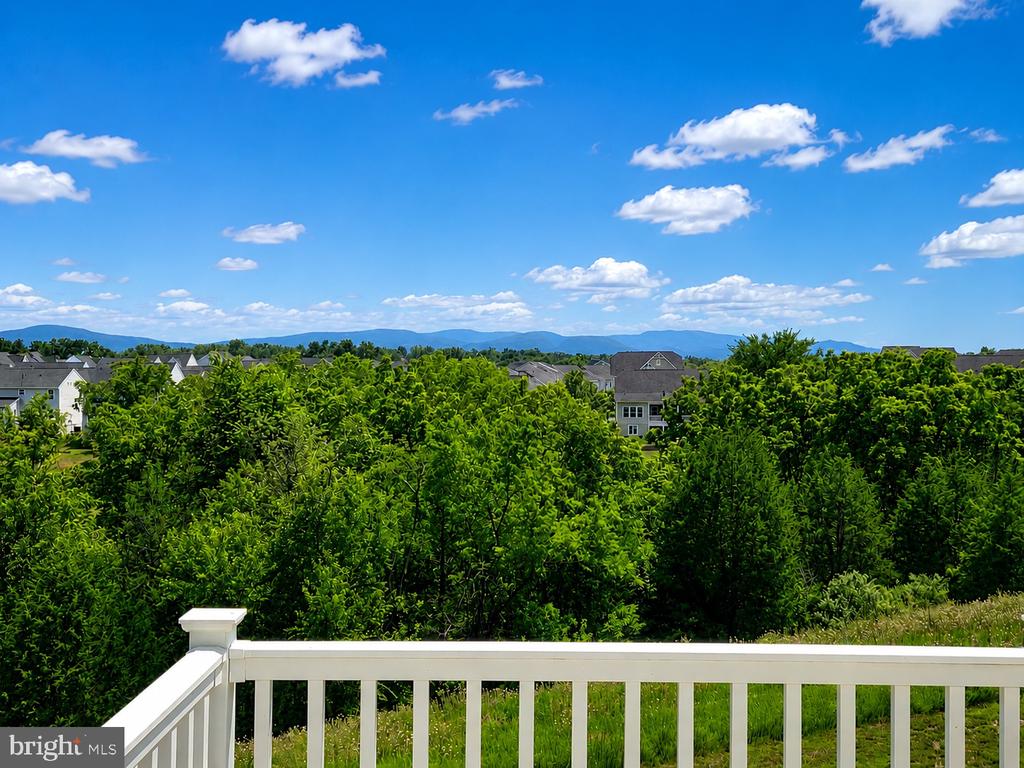 103 BERGAMOT WAY