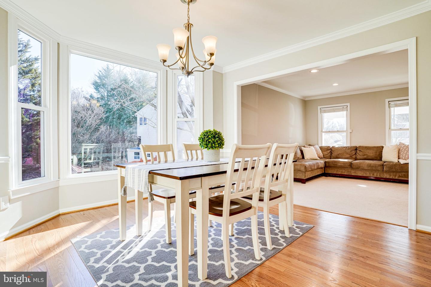 7501 BALLYSHANNON COURT