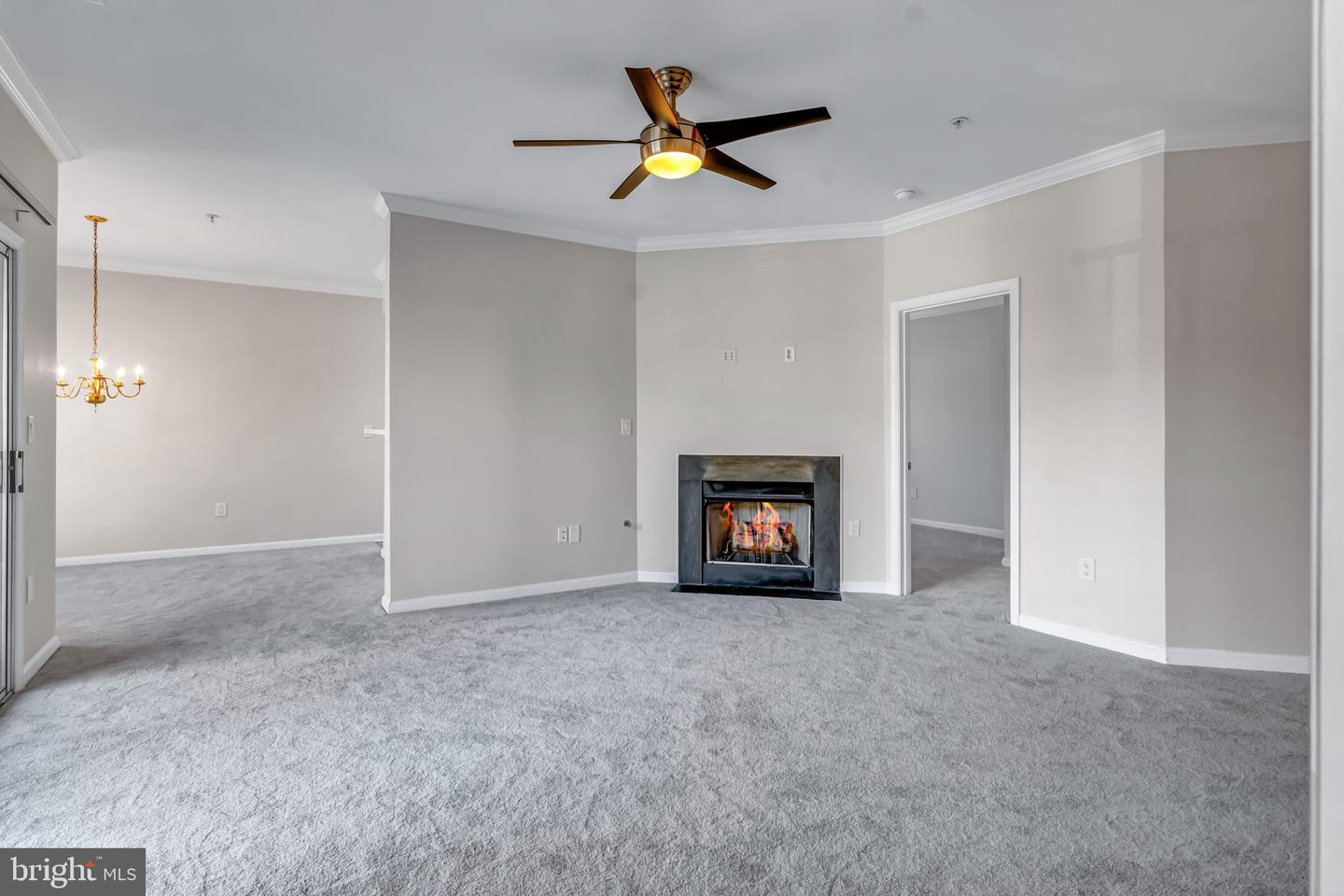 11338 WESTBROOK MILL LANE Unit: 201