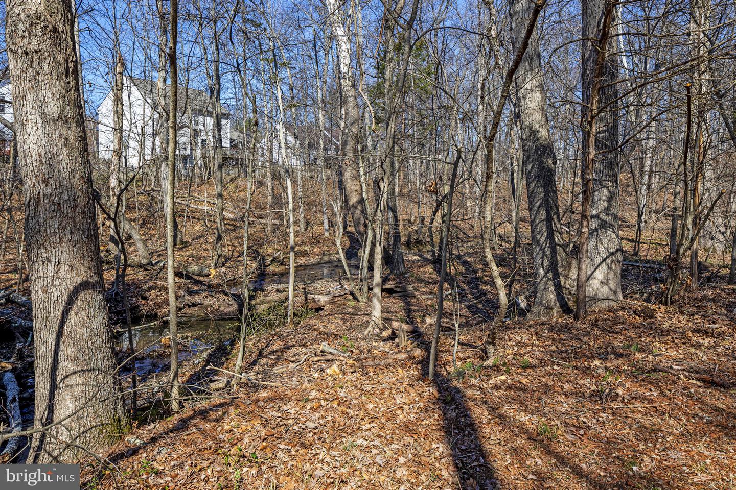 6408 SELBY COURT