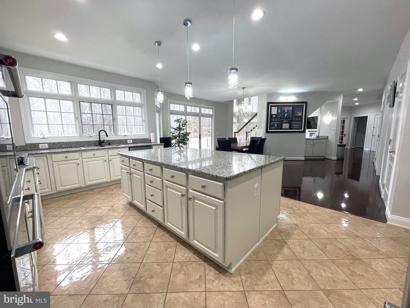 9704 THORN BUSH DRIVE