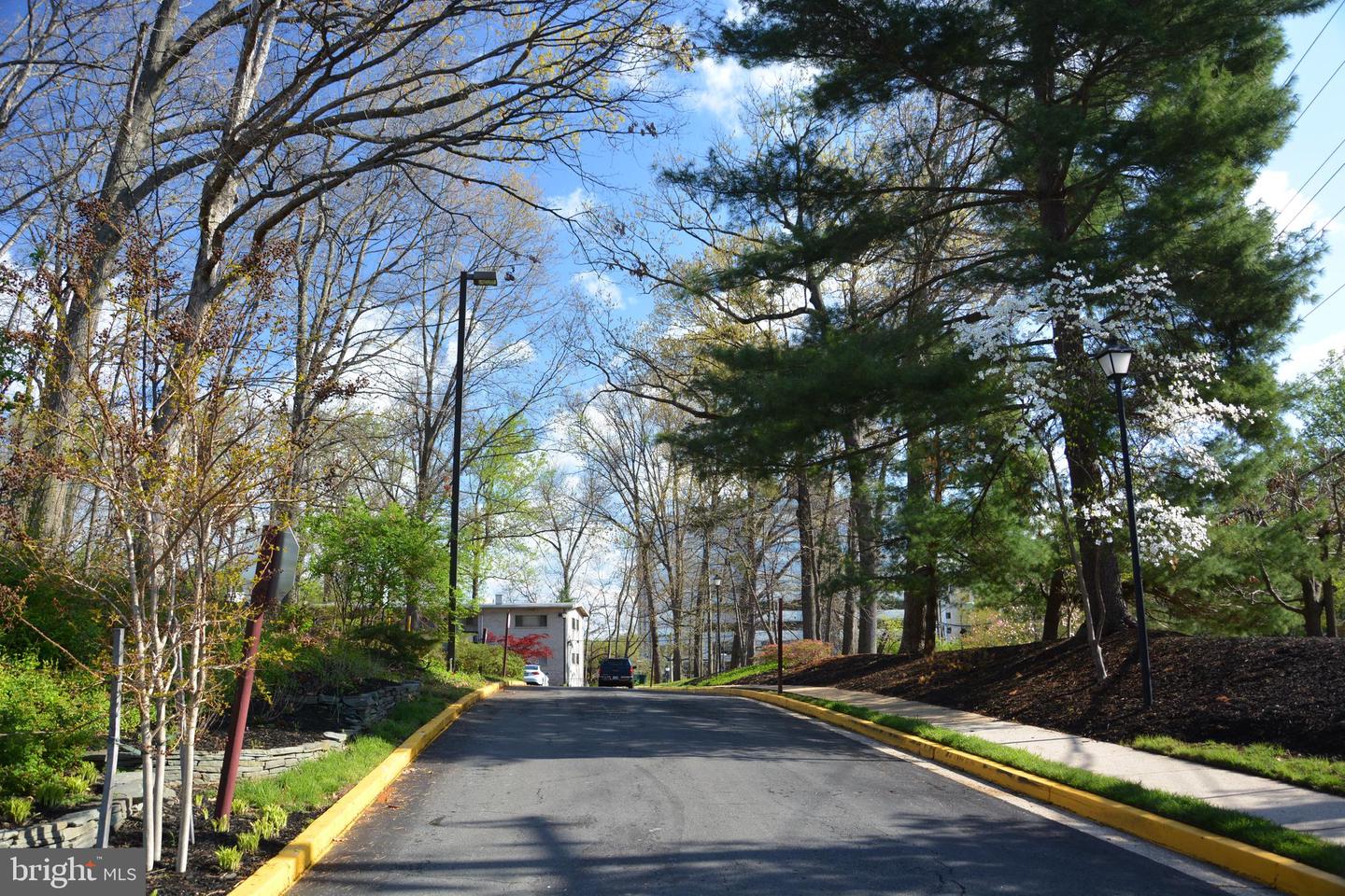 7746 DONNYBROOK COURT Unit: 205