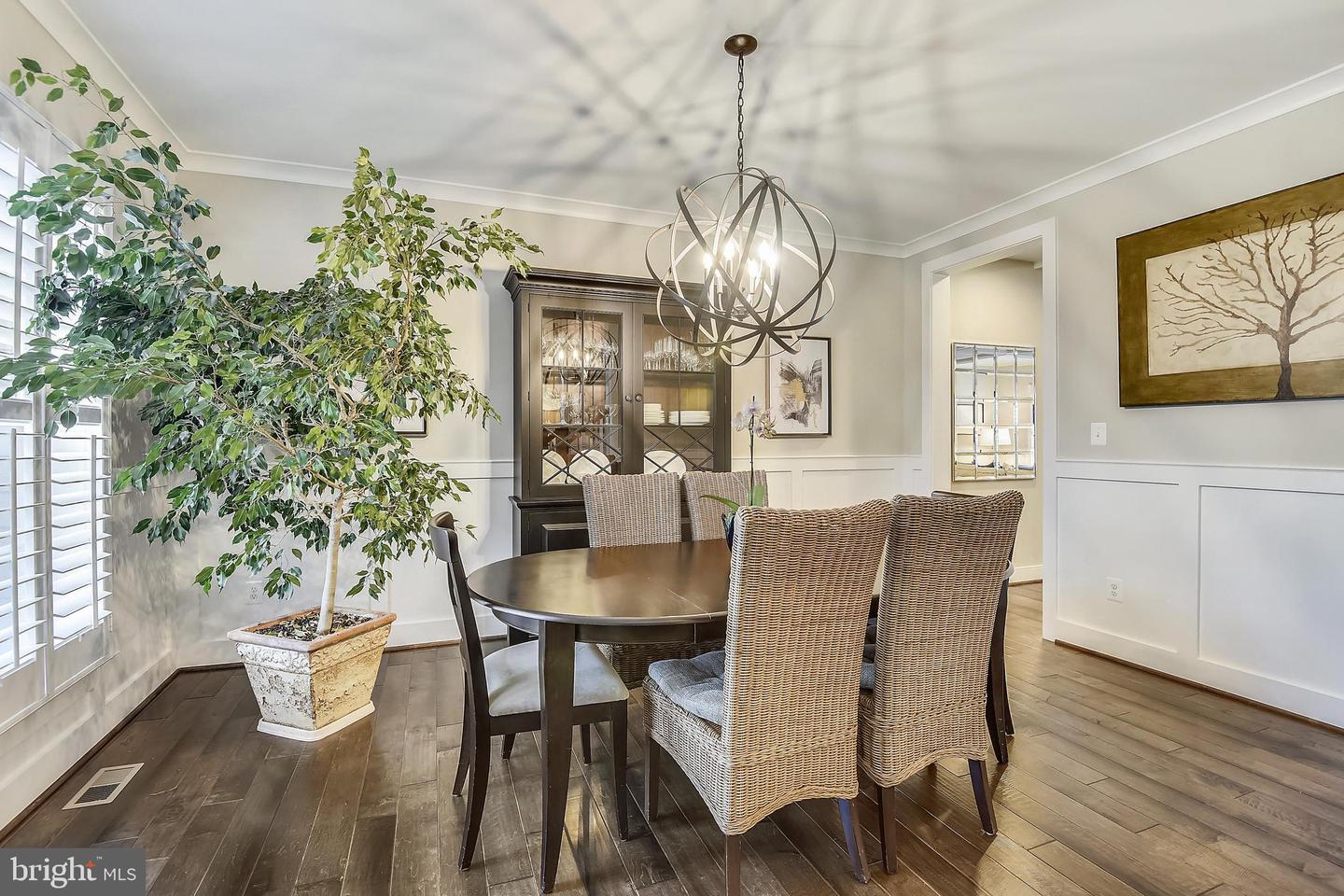 1662 TRAP ROAD