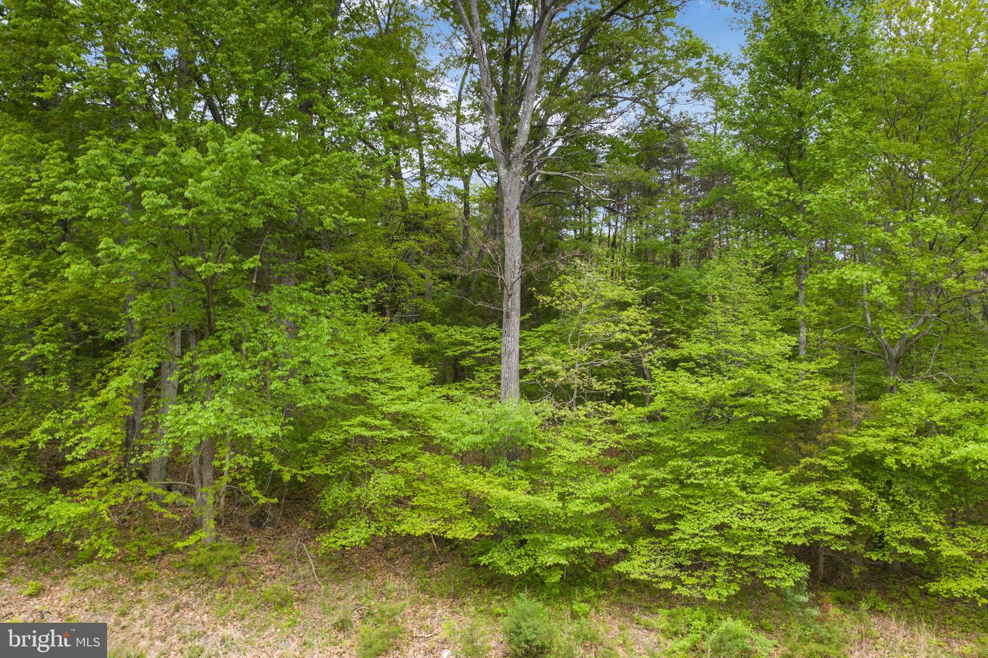 5400 CHANDLEY FARM COURT