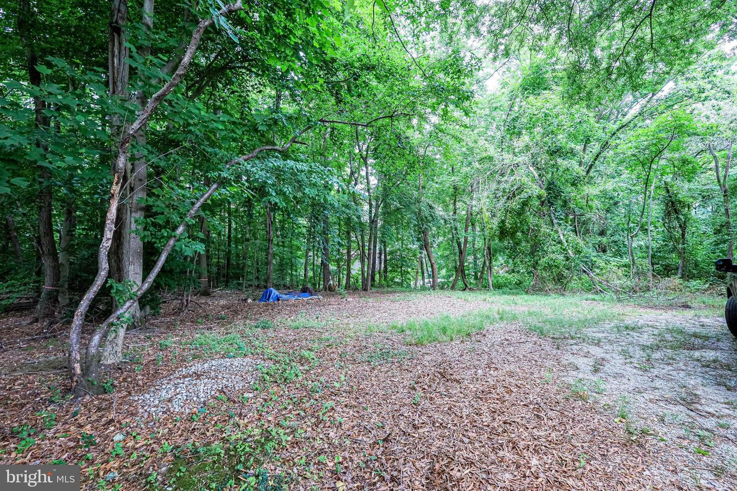 10125 ZION DRIVE