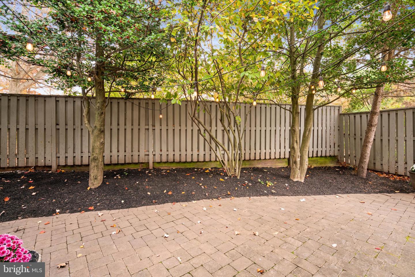 11636 OLD BROOKVILLE COURT