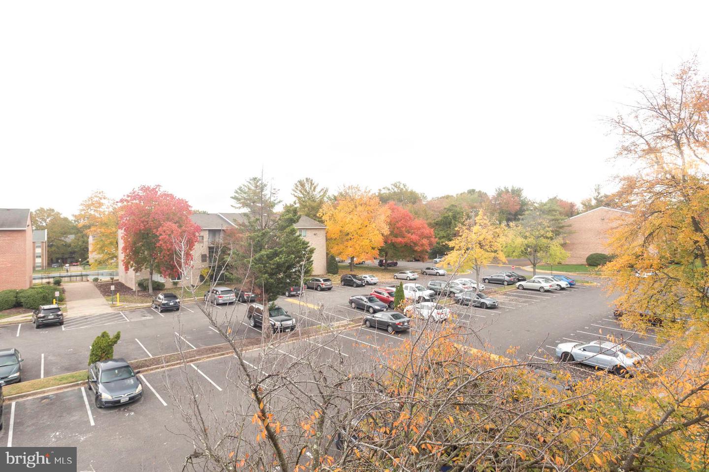 7981 AUDUBON AVENUE Unit: 301
