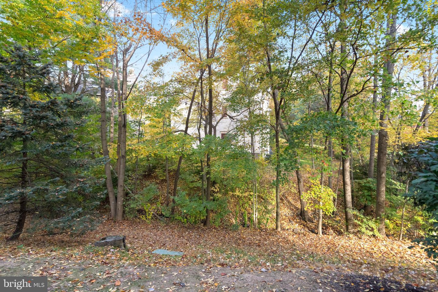 3804 GREEN RIDGE COURT Unit: 102