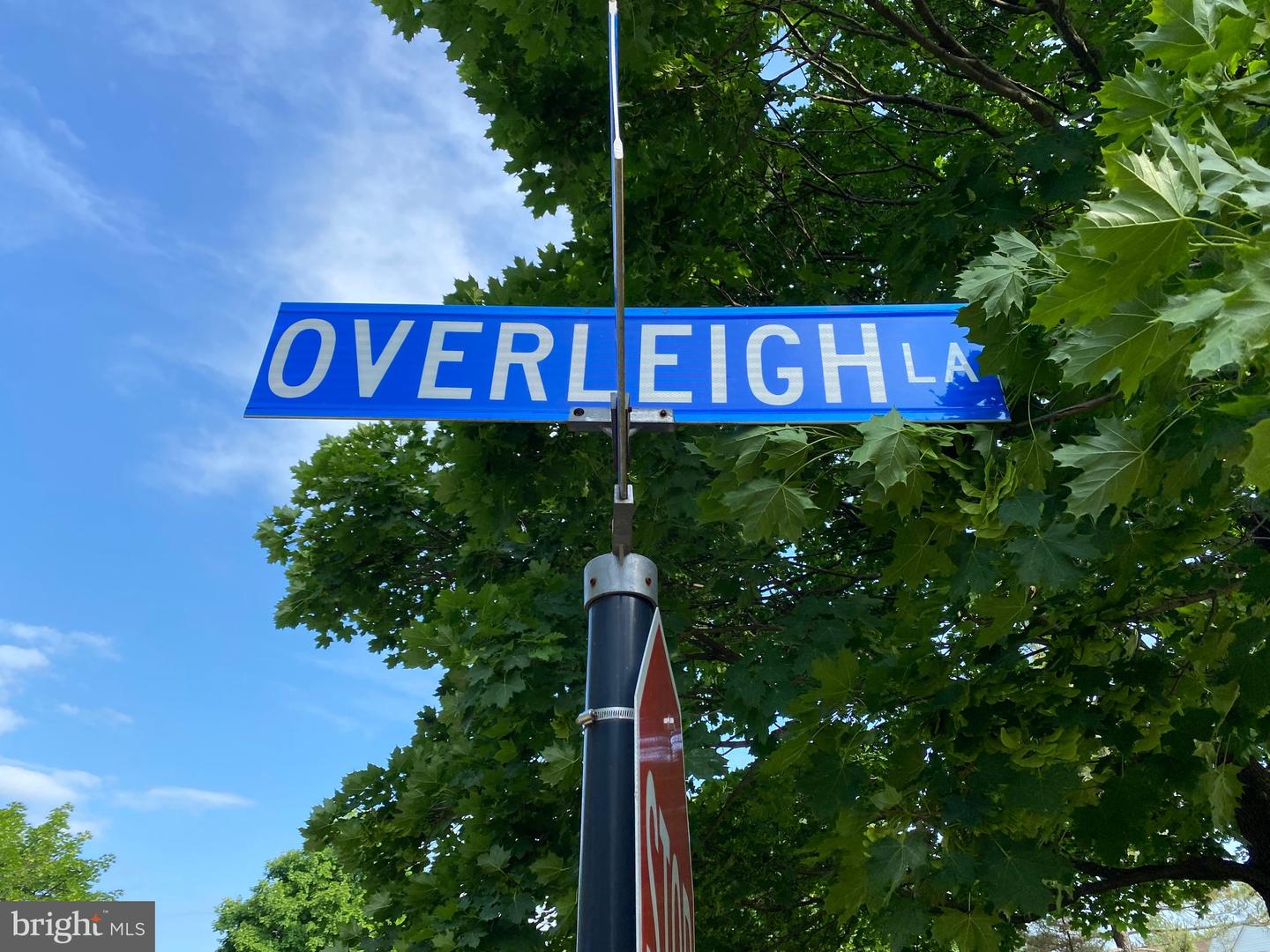 6564 OVERLEIGH LANE
