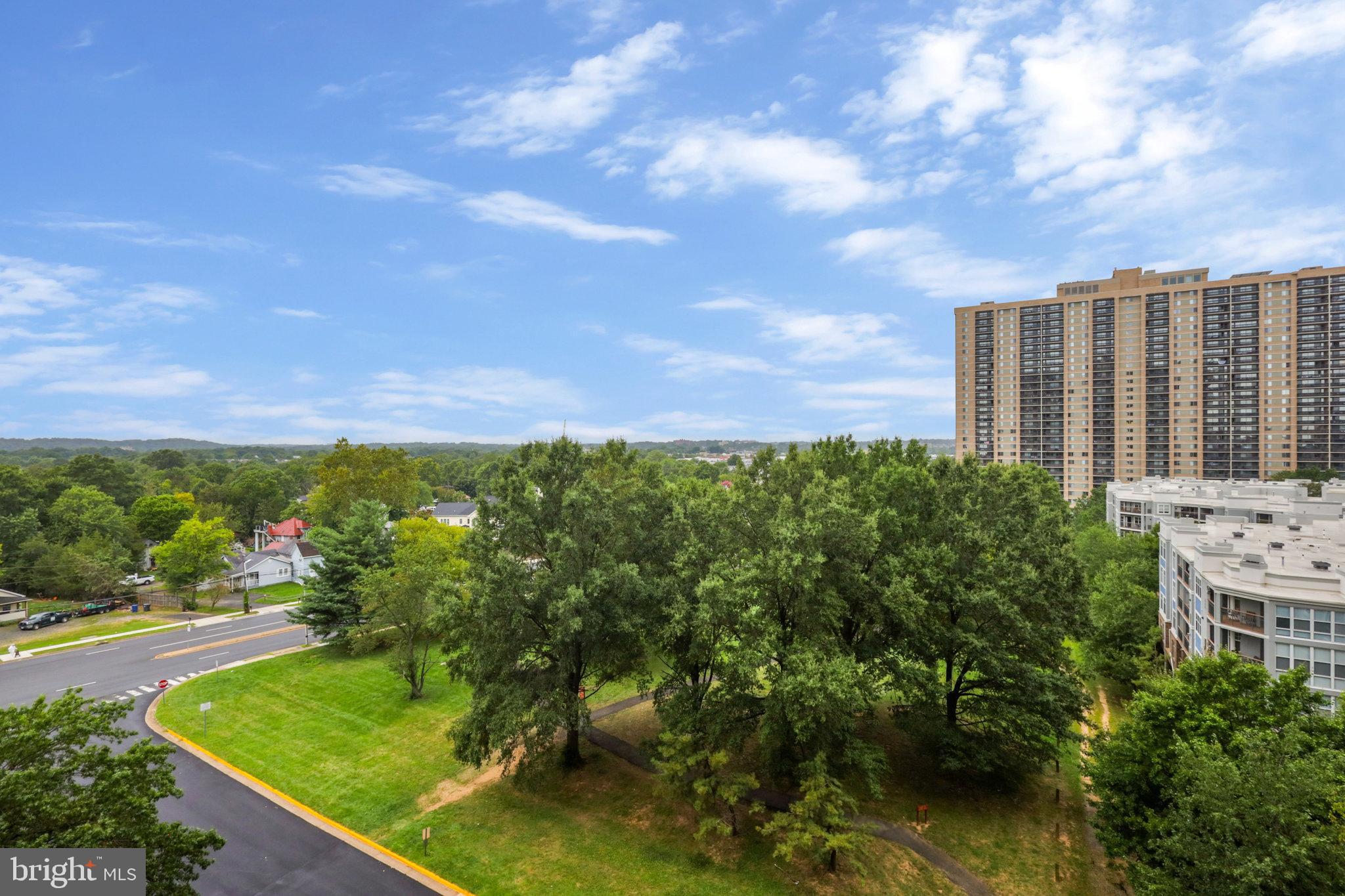 5505 SEMINARY ROAD Unit: 813N