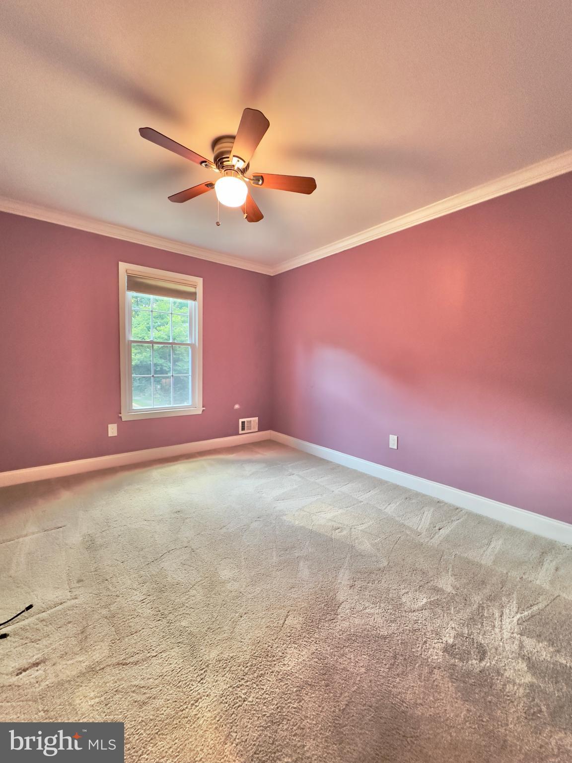 2419 ANSDEL COURT