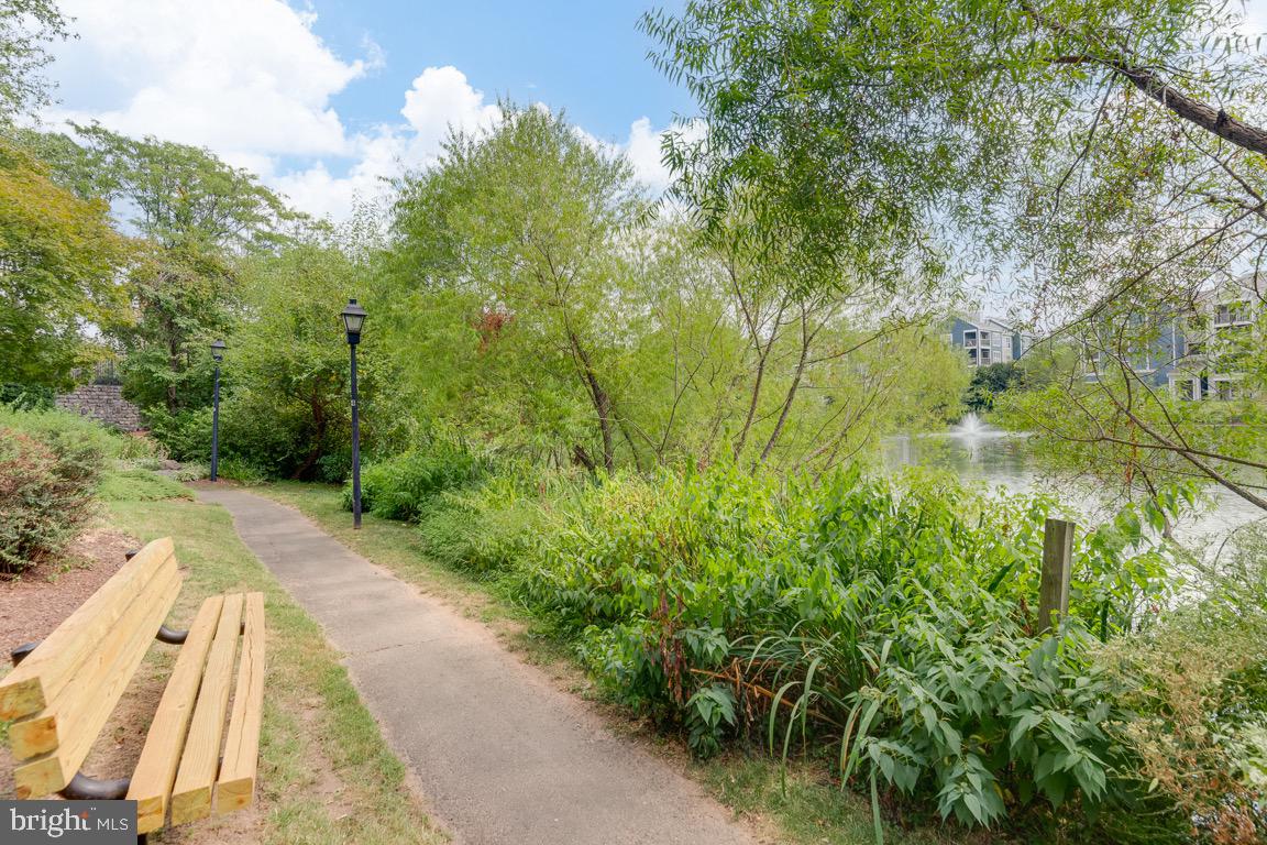 14305 CLIMBING ROSE WAY Unit: 103