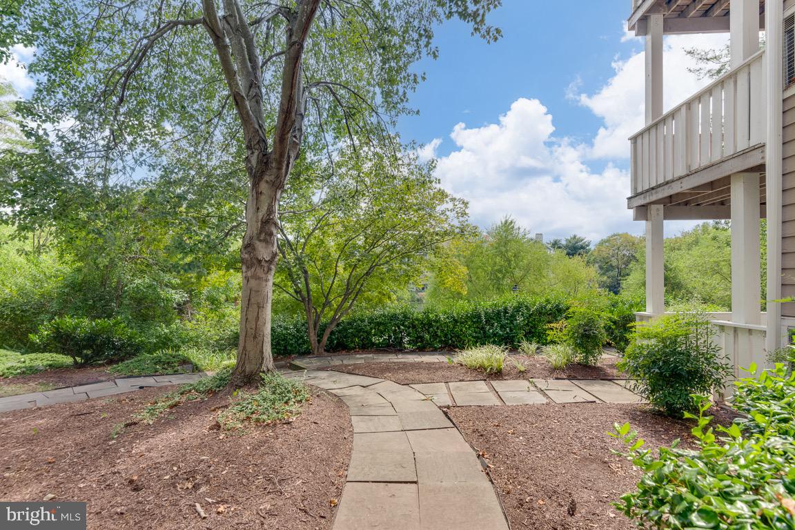 14305 CLIMBING ROSE WAY Unit: 103