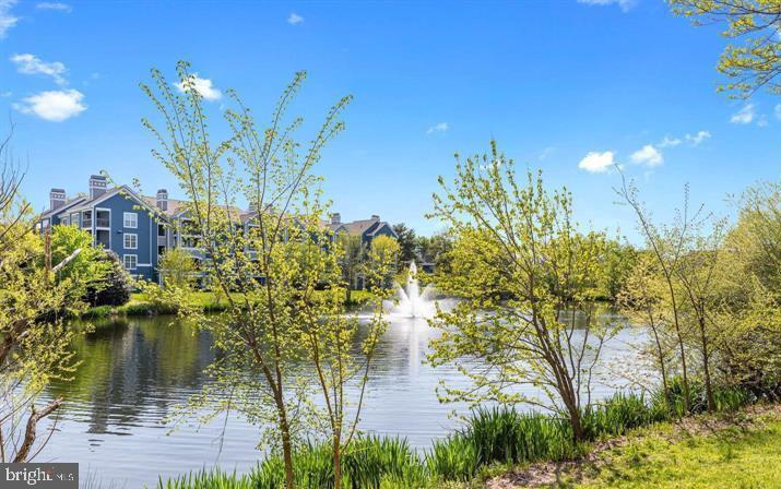 14305 CLIMBING ROSE WAY Unit: 103
