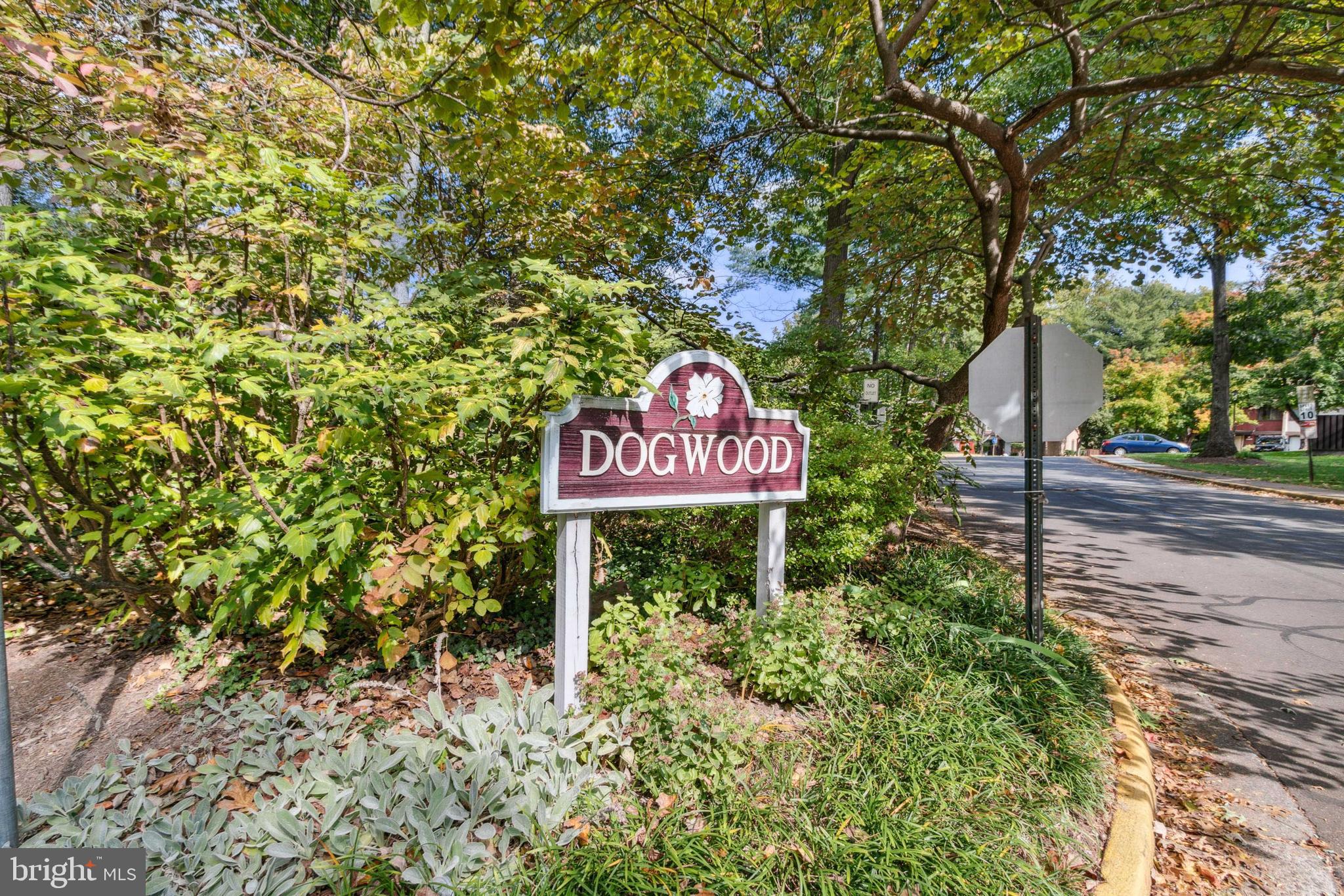 2286 White Cornus LANE