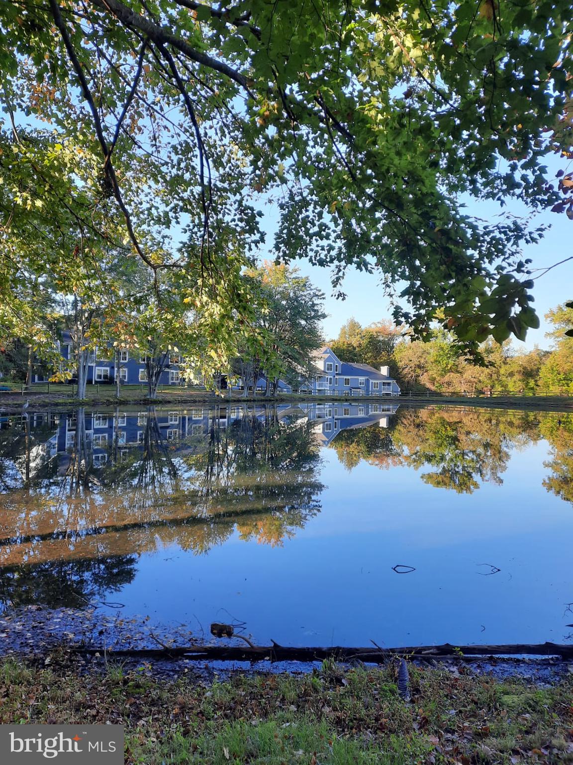 13511 Orchard DRIVE Unit: 3511