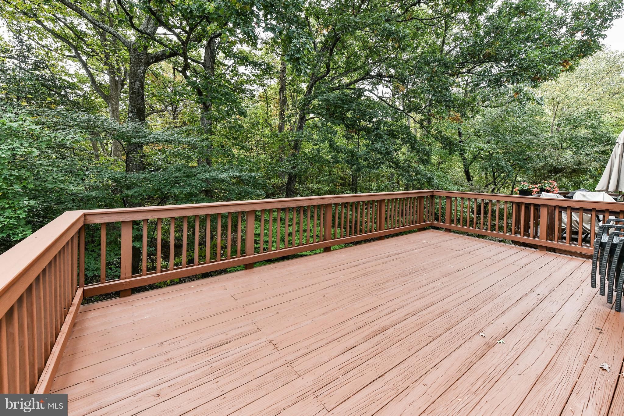 11790 Great Owl CIRCLE