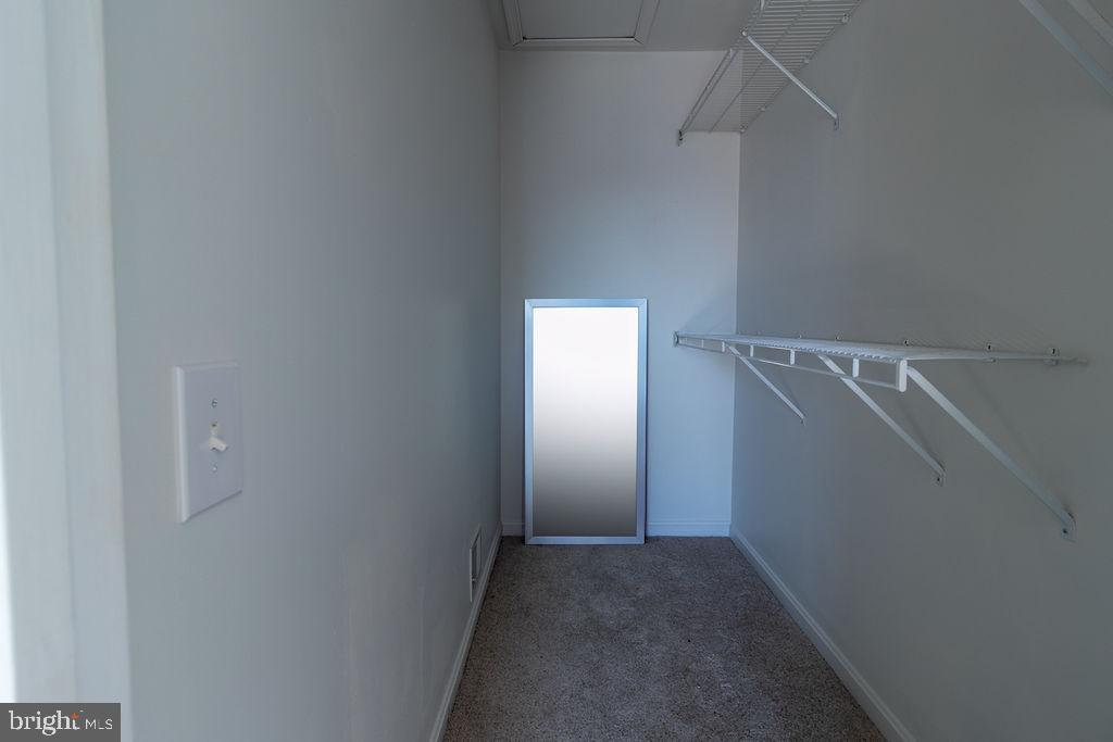 8234 Catbird CIRCLE Unit: 301