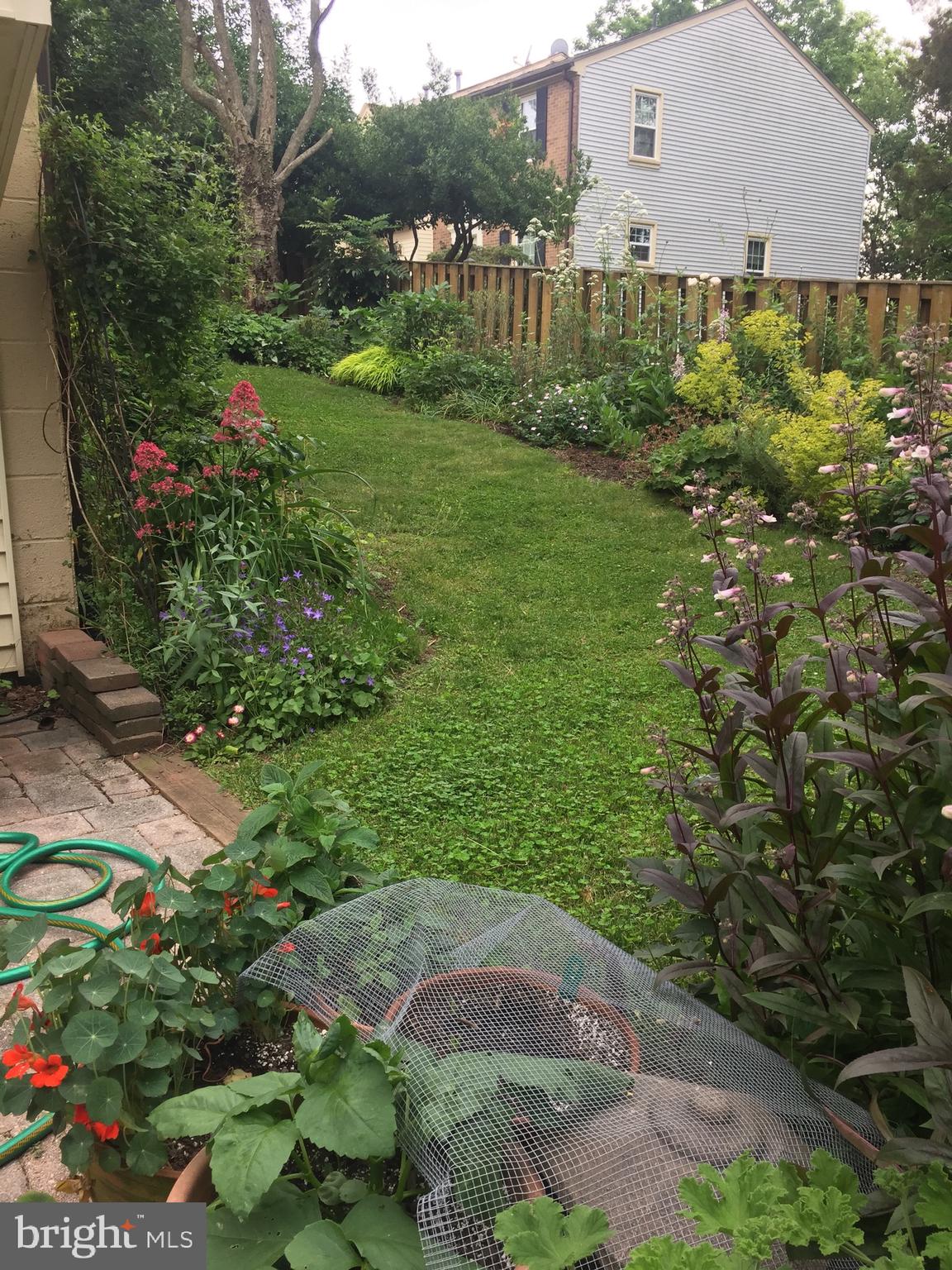 14312 Watery Mountain COURT