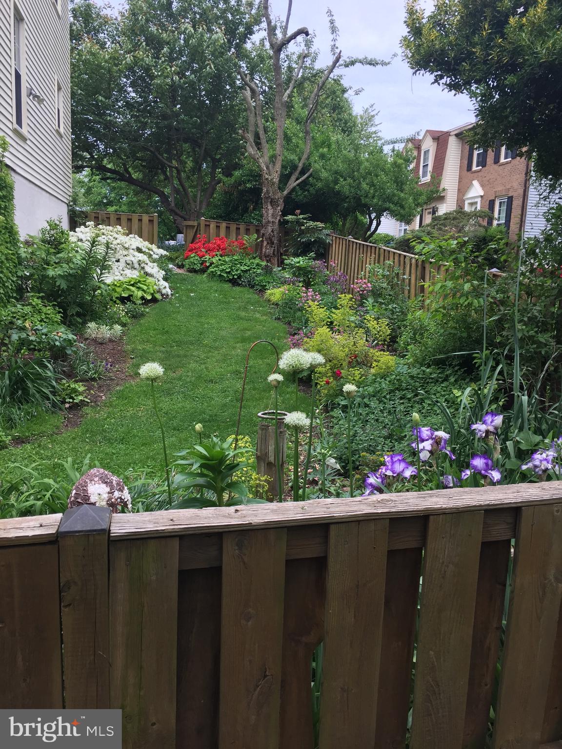 14312 Watery Mountain COURT