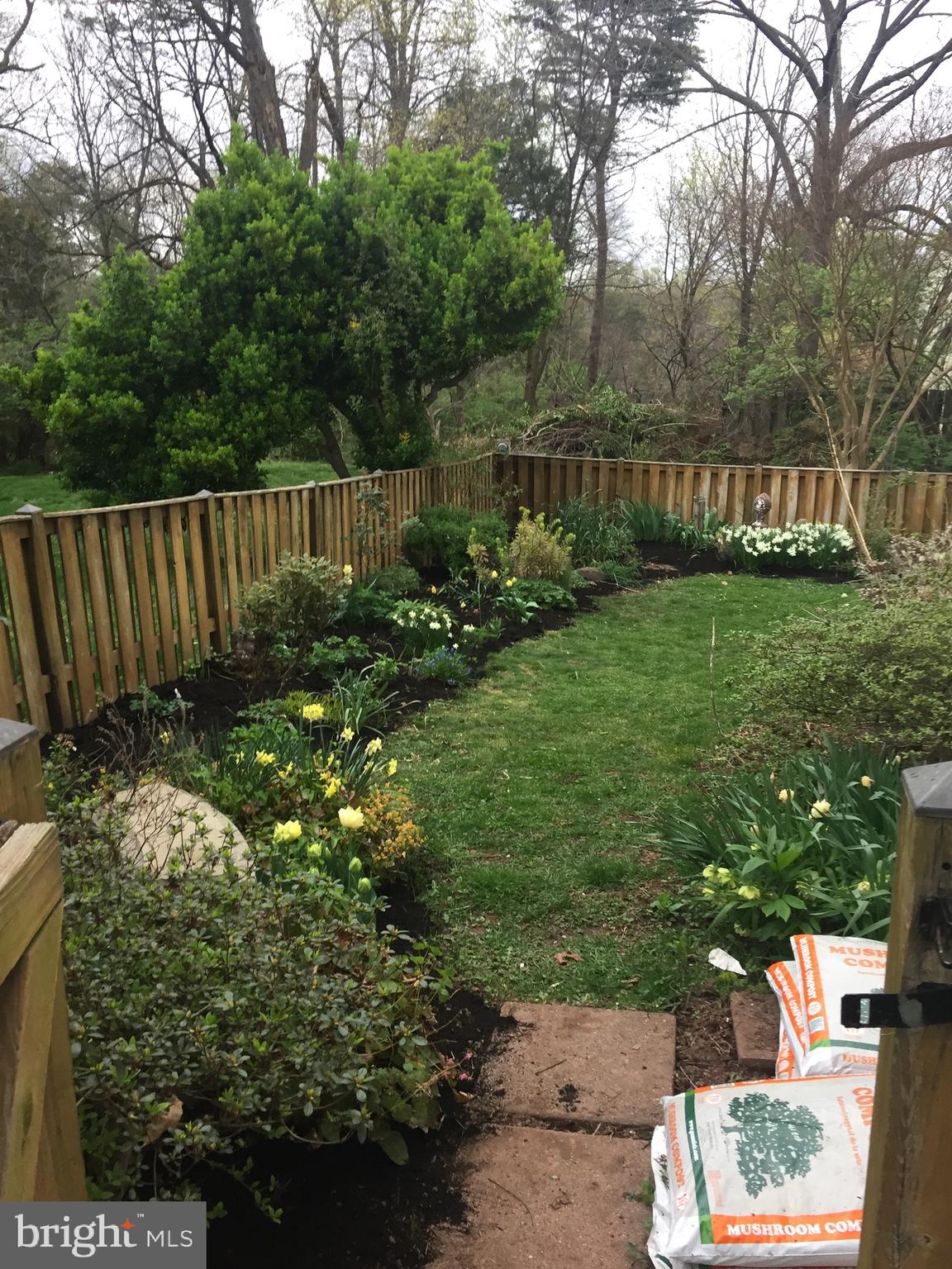 14312 Watery Mountain COURT
