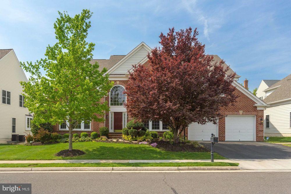 8923 Rhododendron CIRCLE