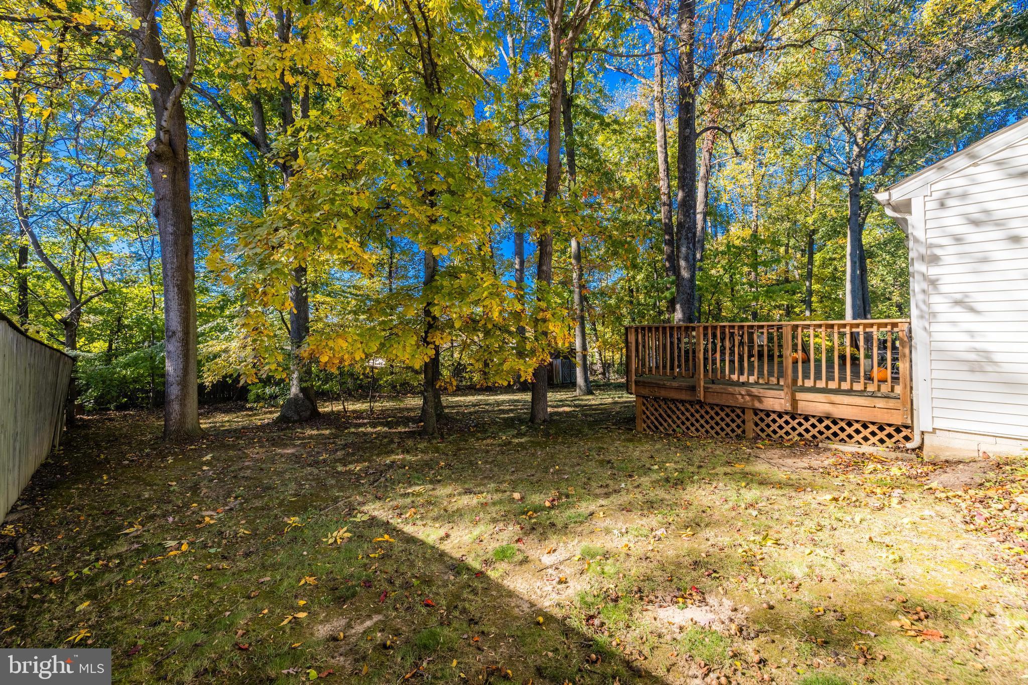 14589 Woodland Ridge DRIVE