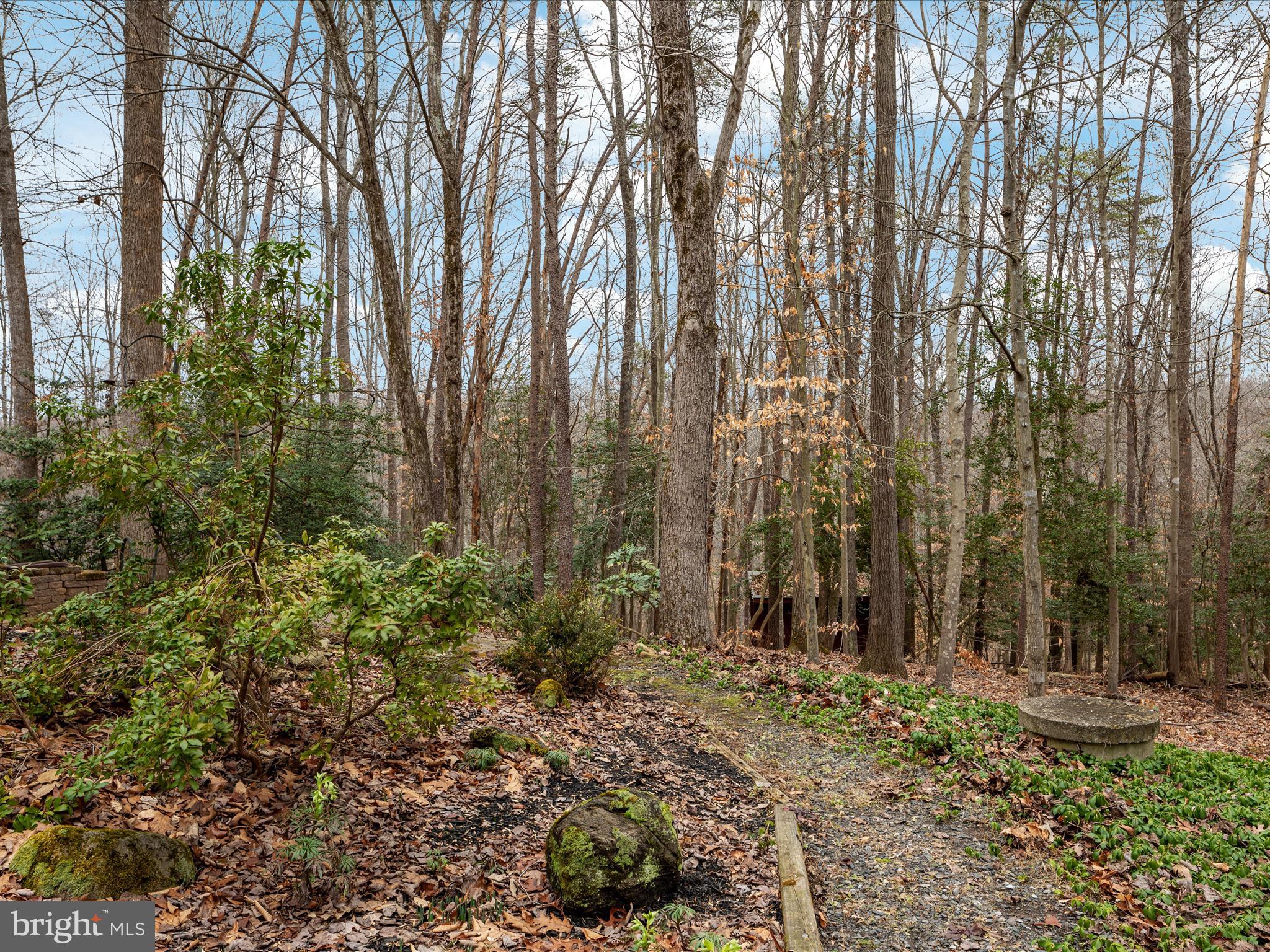 8215 Cub den Court