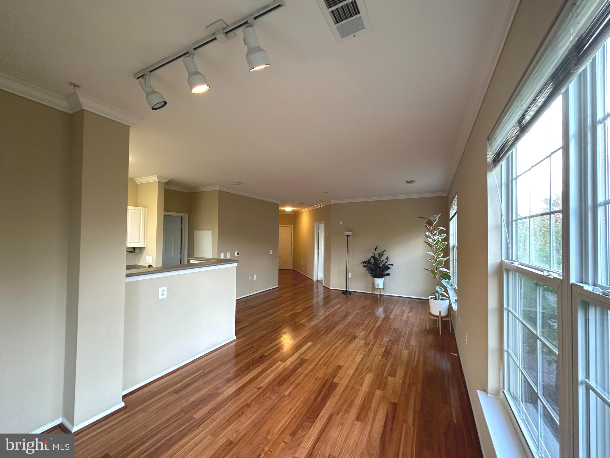3015 Nicosh Circle Unit: 2310