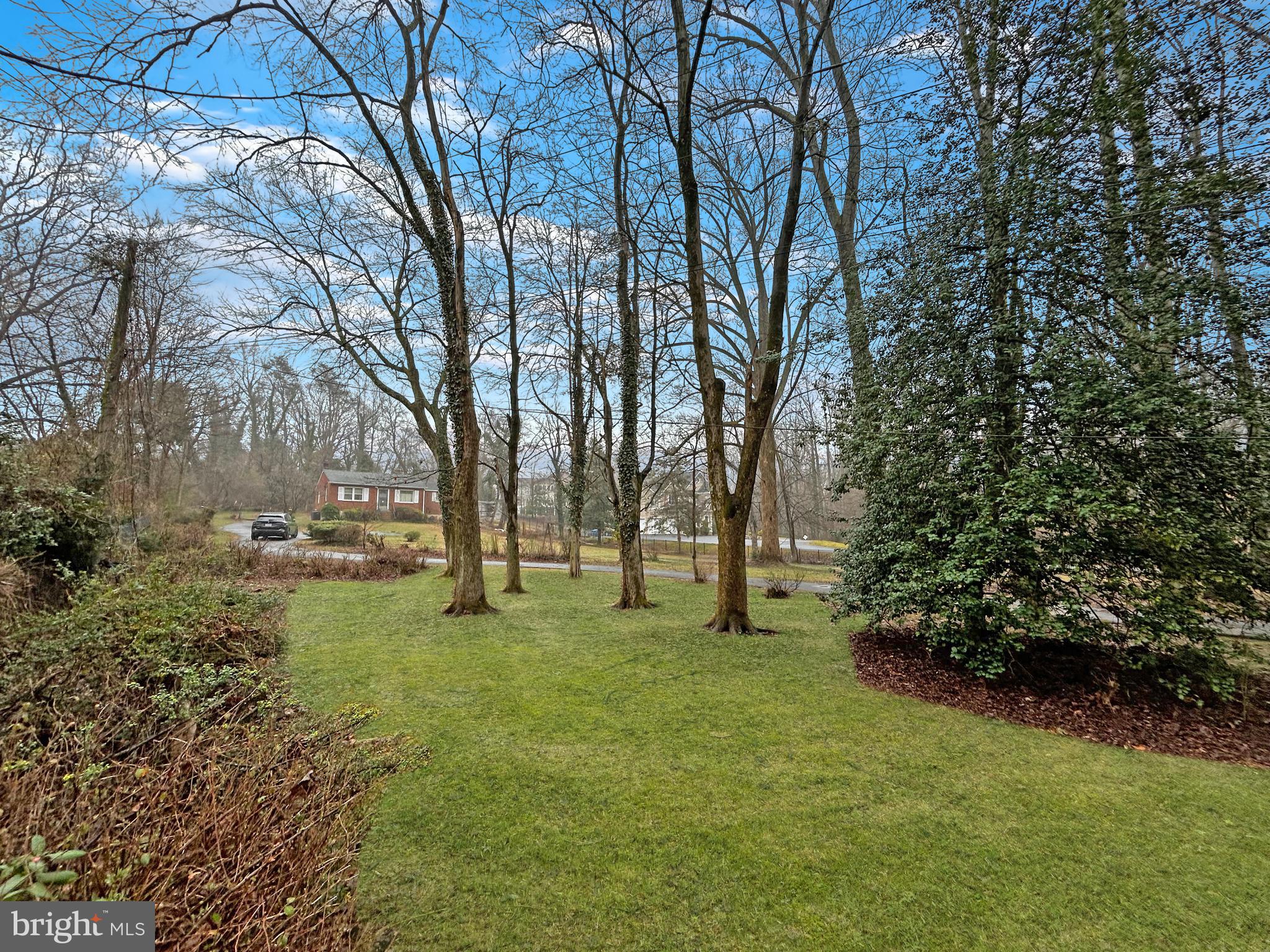 4115 Woodlark Dr