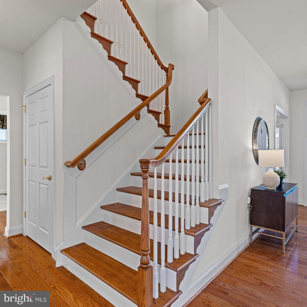 7005 Springville Ct