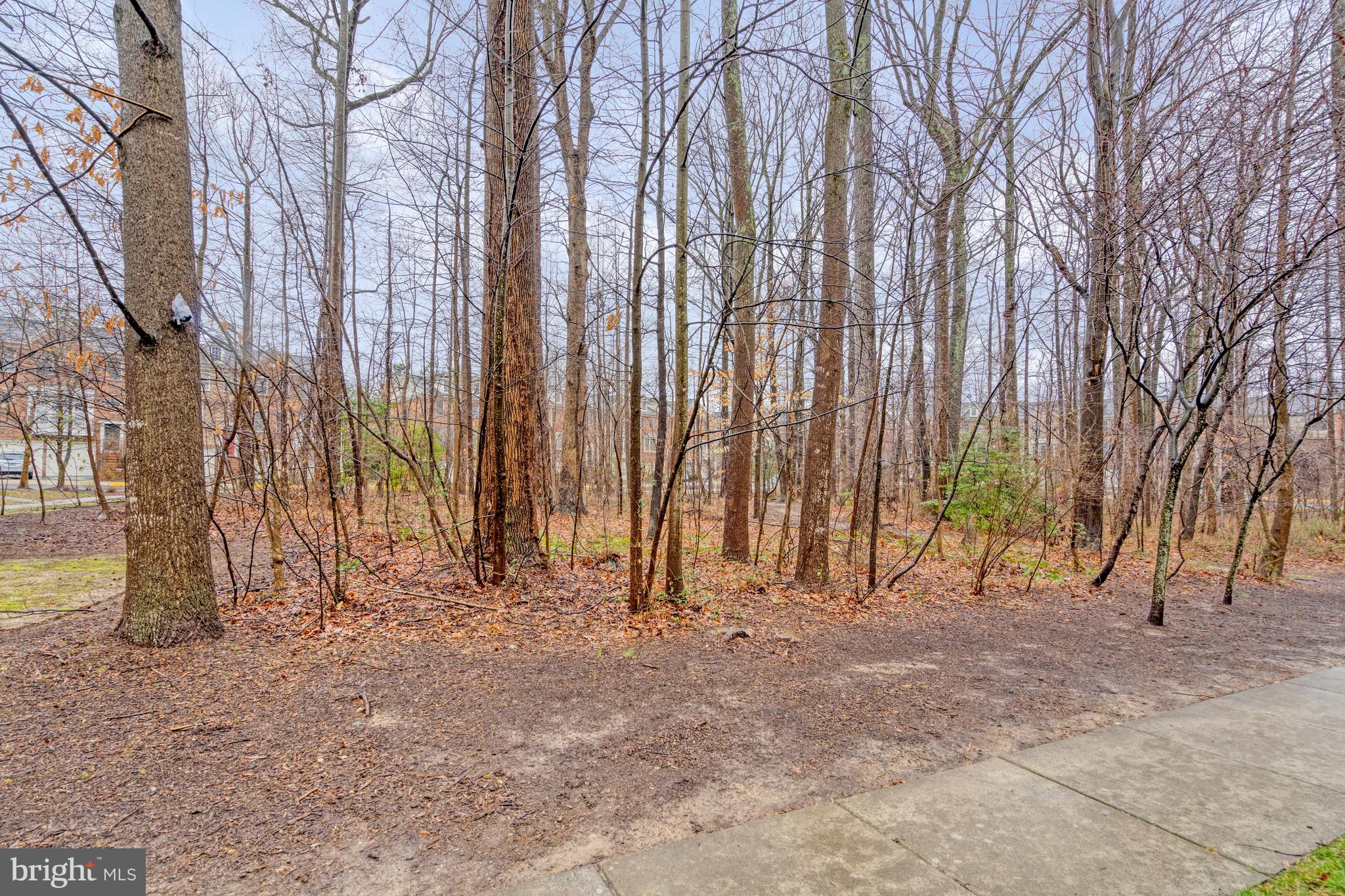 12241 Water Elm Ln