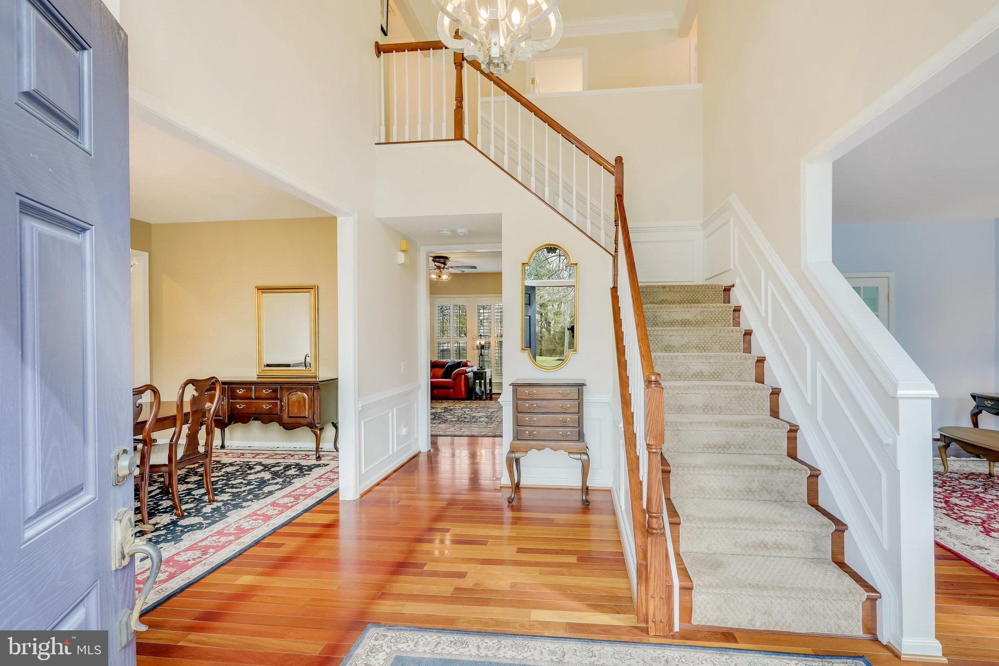12856 Williams Meadow Ct