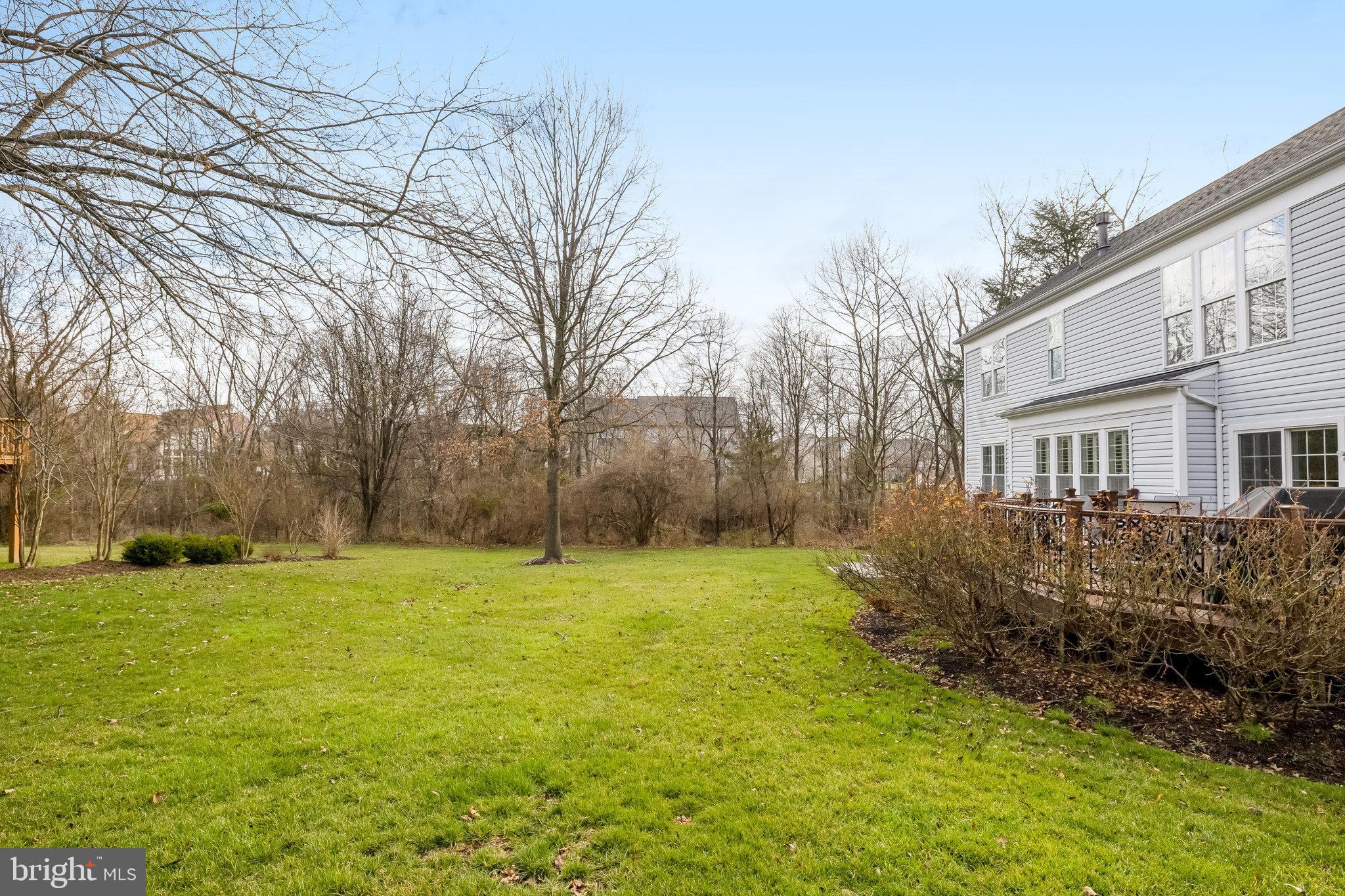 12856 Williams Meadow Ct