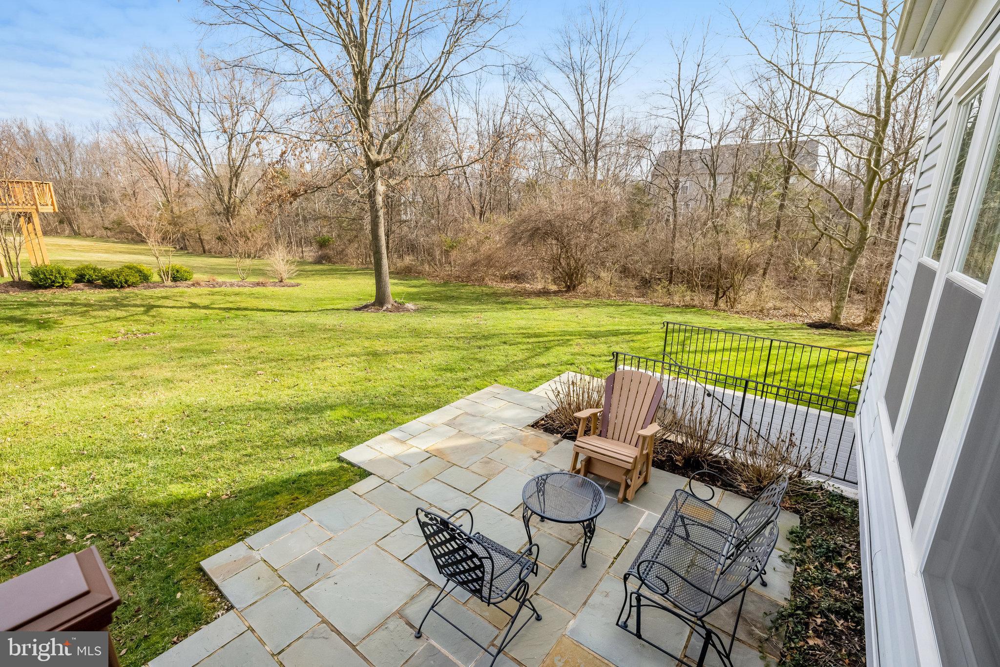 12856 Williams Meadow Ct