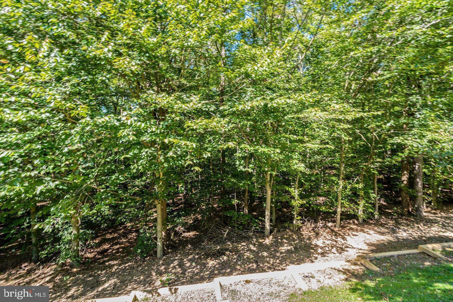 8078 Donegal Ln