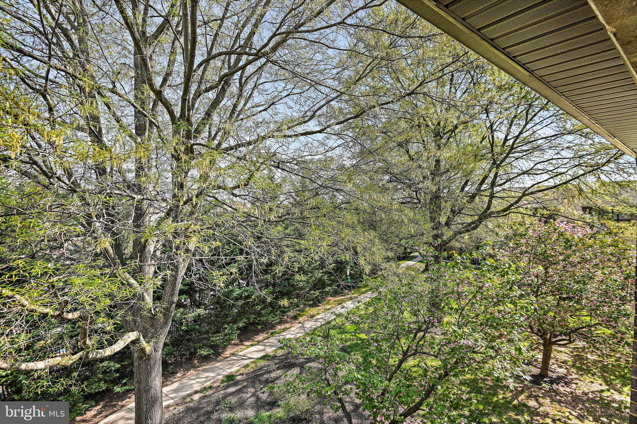 561 Florida Ave #203