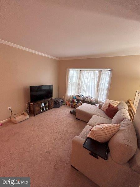 13964 Antonia Ford Ct