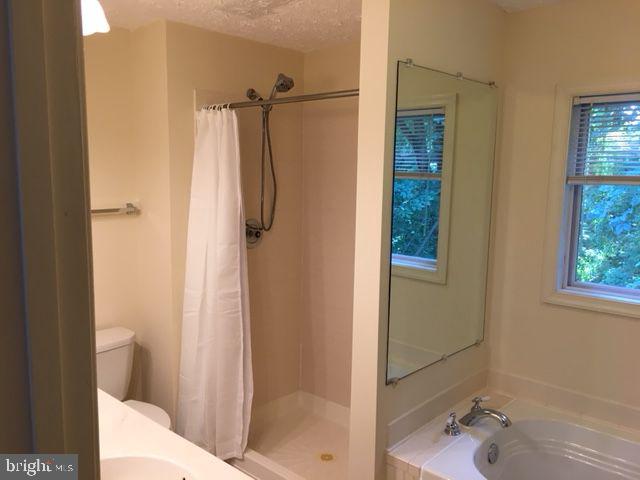 10819 Verde Vista Dr