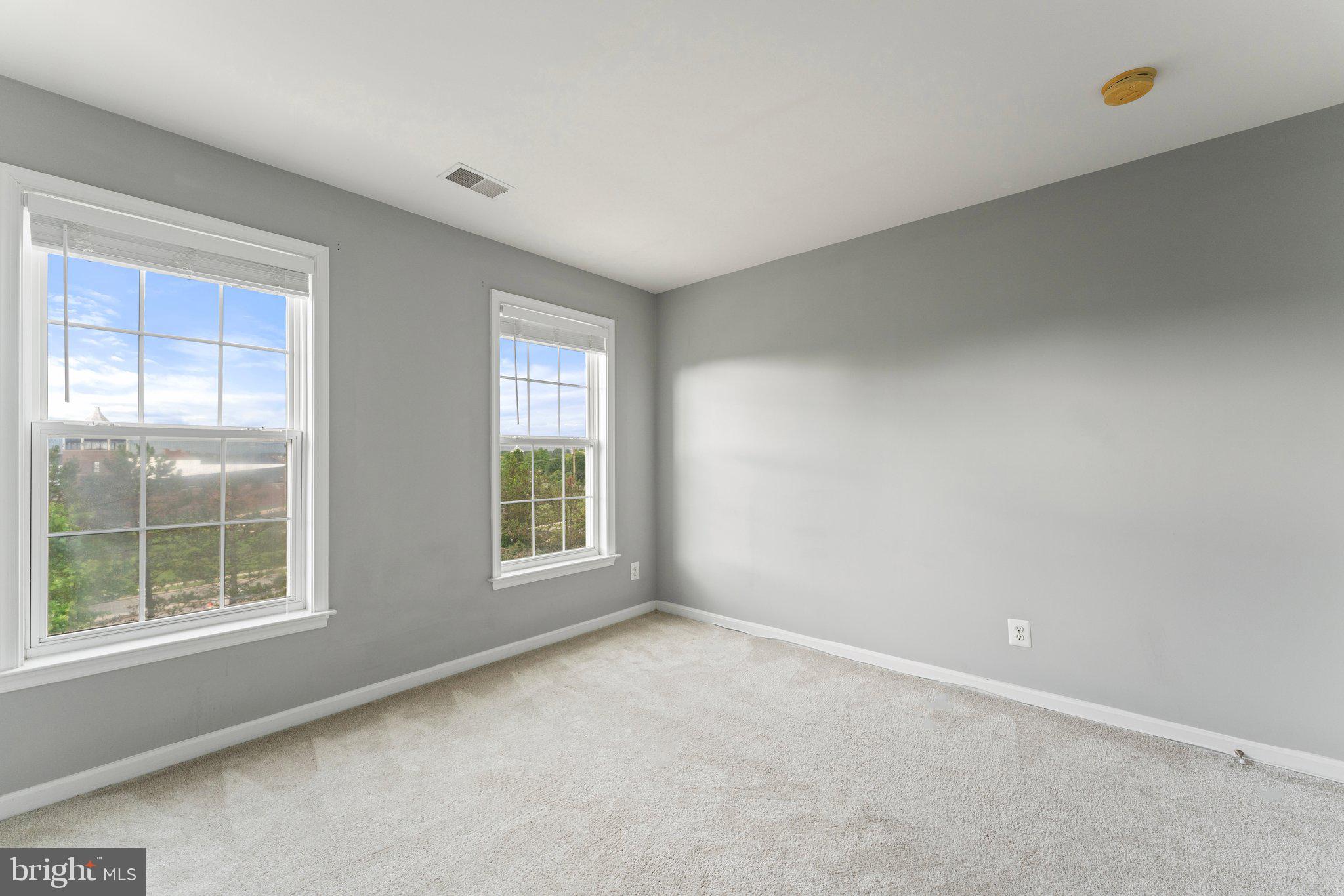 8923 Purple Lilac Cir