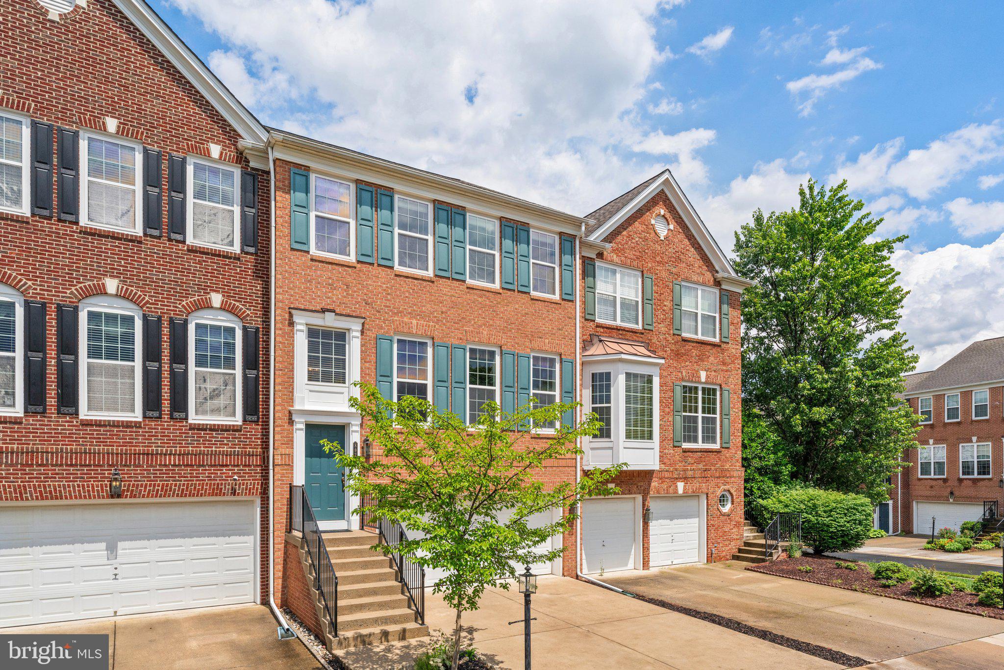 8923 Purple Lilac Cir