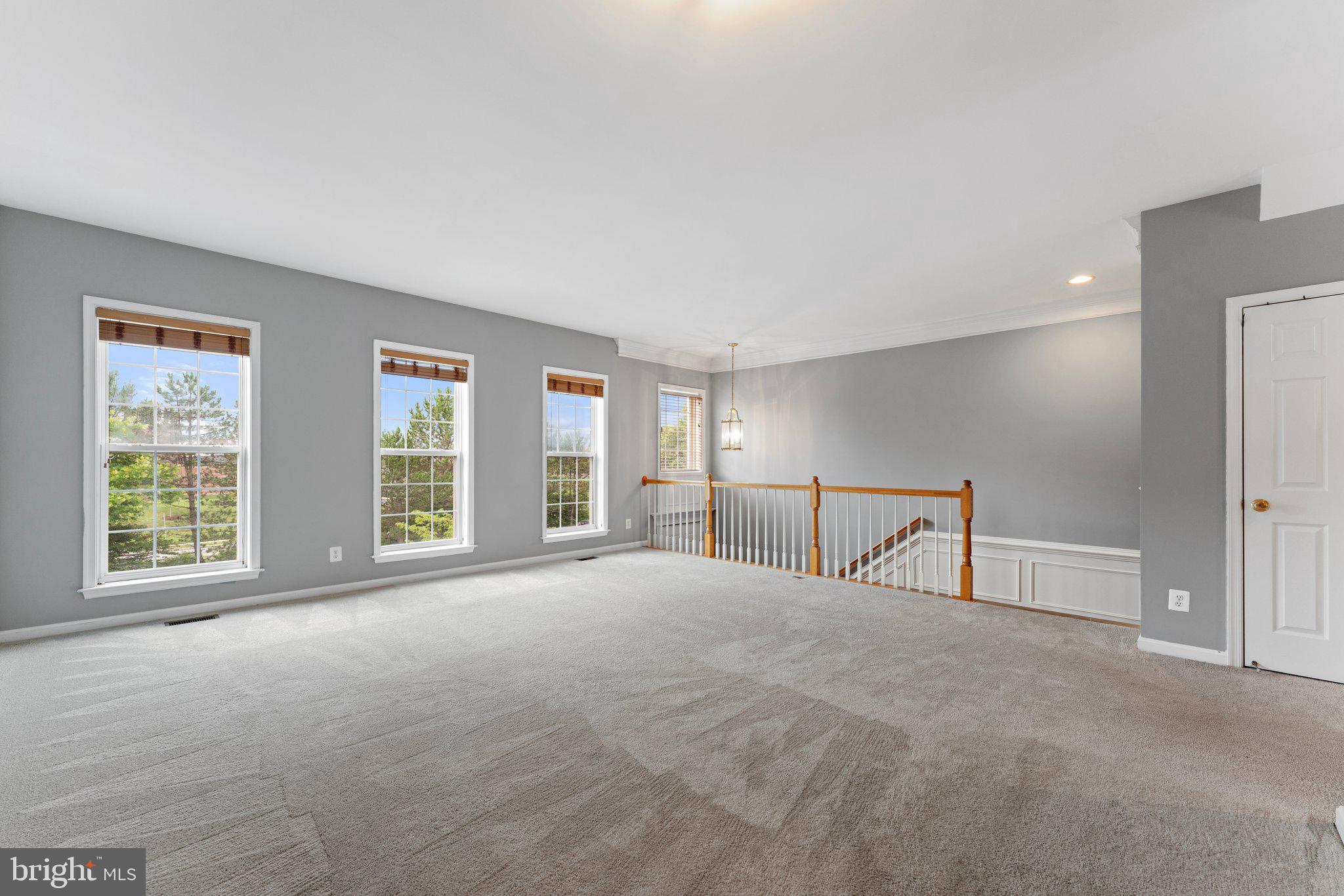 8923 Purple Lilac Cir